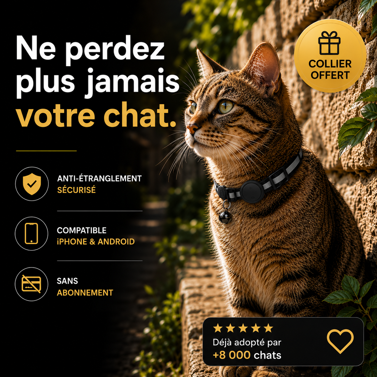 Félis- Collier Intelligent pour Chat