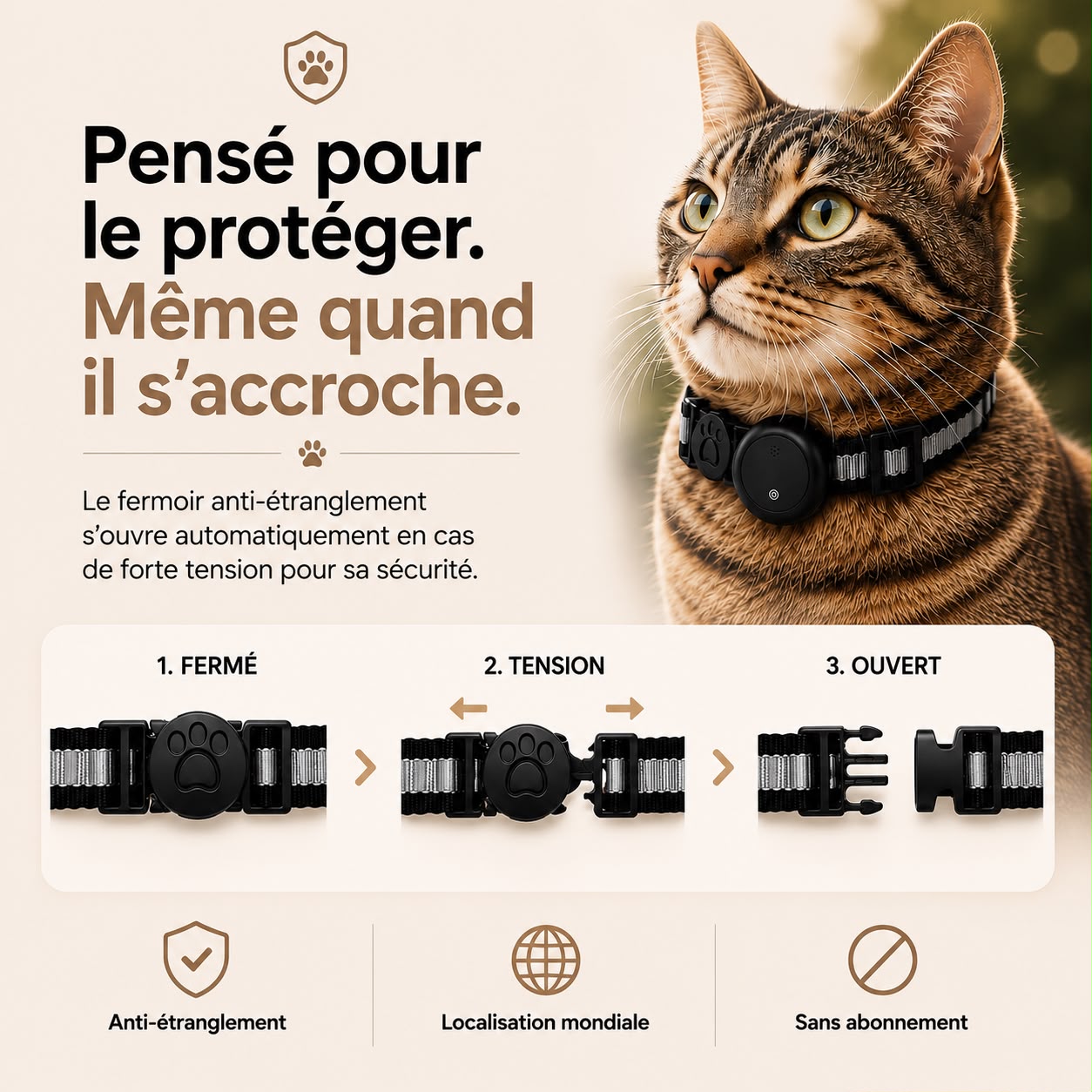 Félis- Collier Intelligent pour Chat