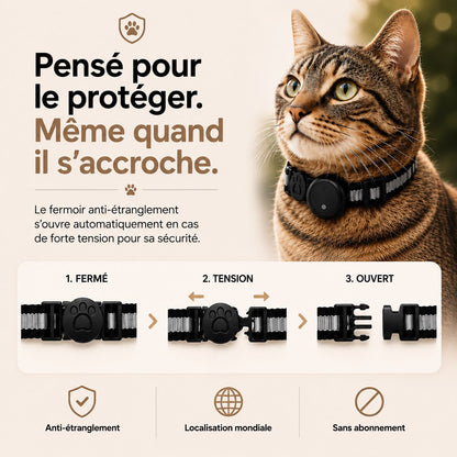 Félis- Collier Intelligent pour Chat